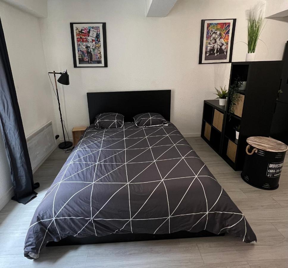 Studio Cosy Au Coeur Du Centre Ville Mâcon Dış mekan fotoğraf